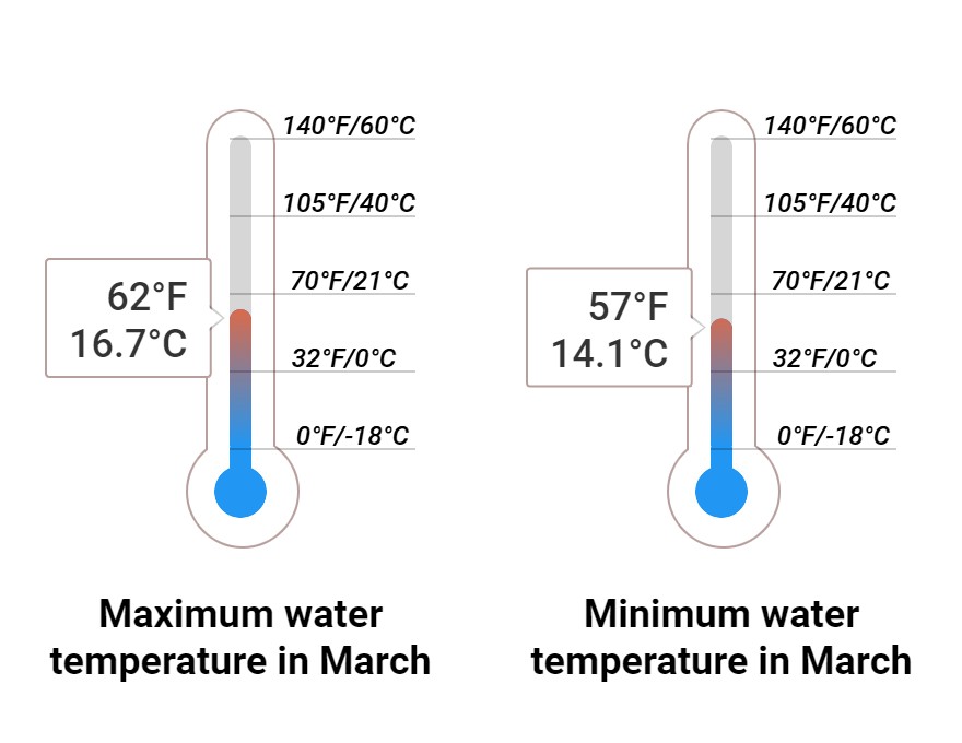 Average Sea temperature